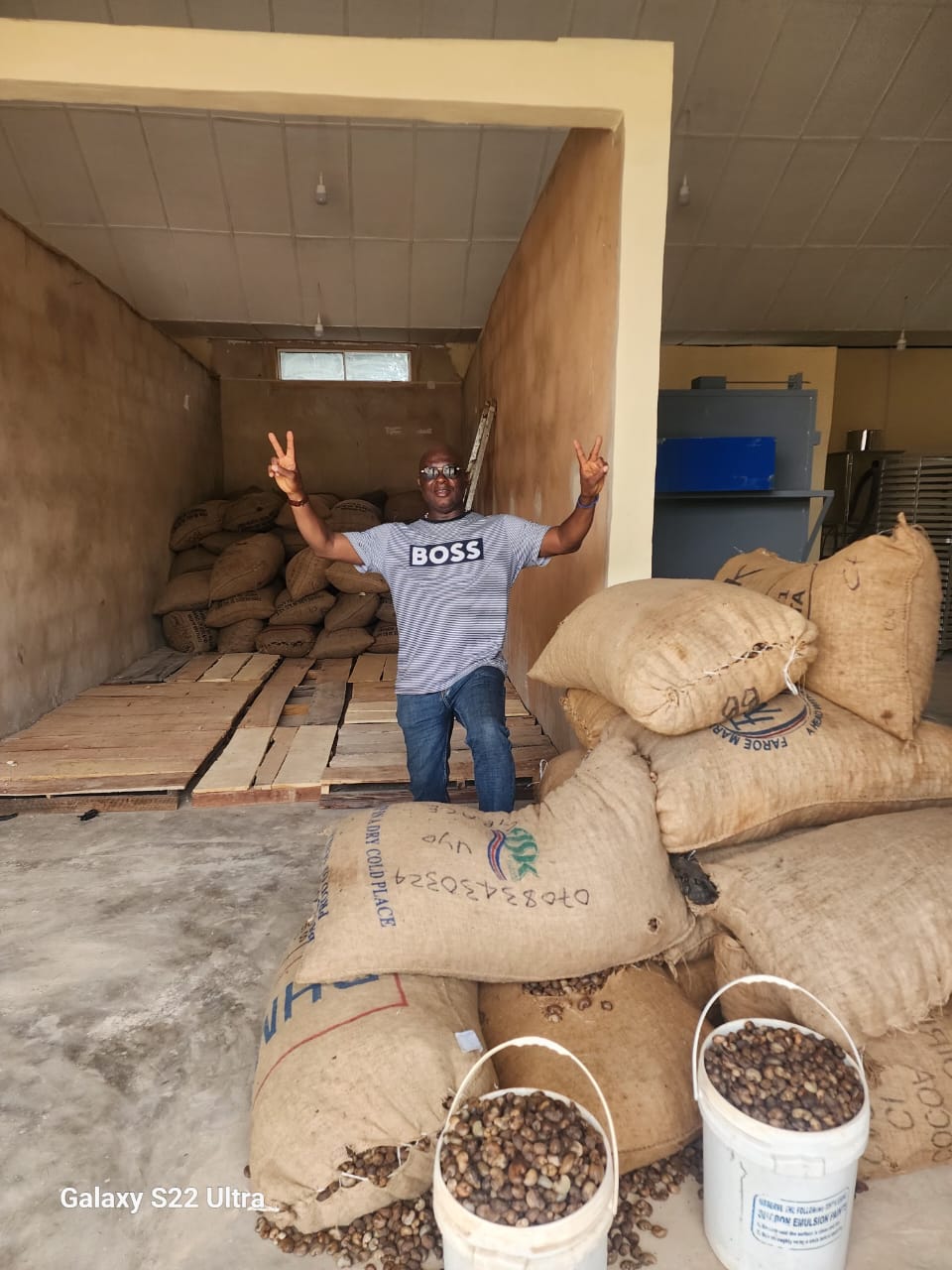 Peeling and cashew kernel grading